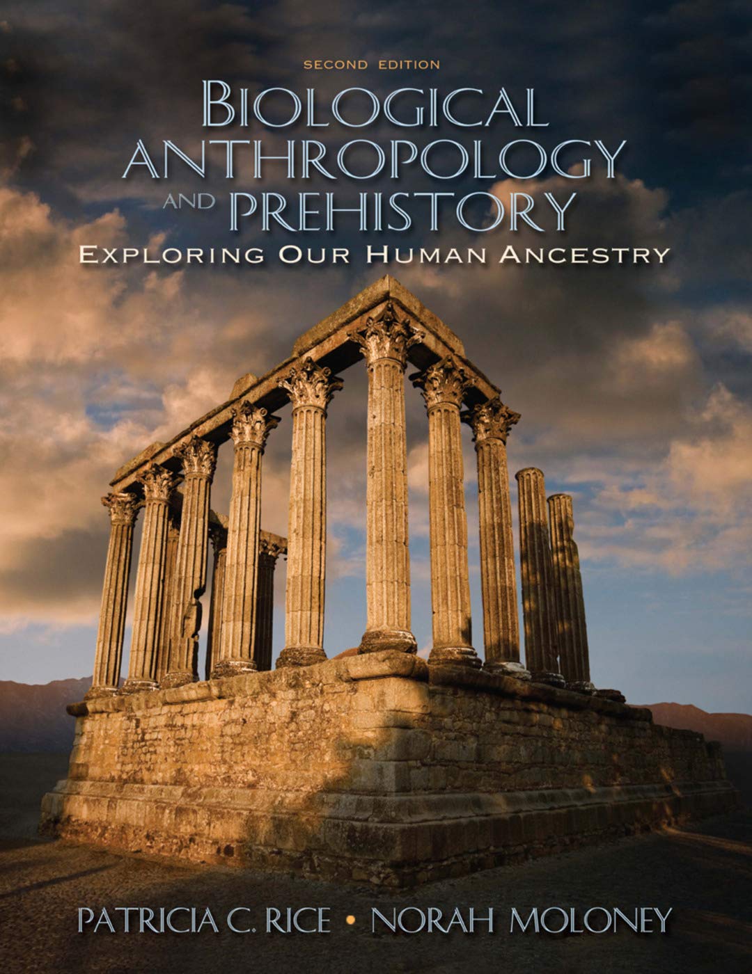 Biological Anthropology and Prehistory: Exploring Our Human Ancestry,Used