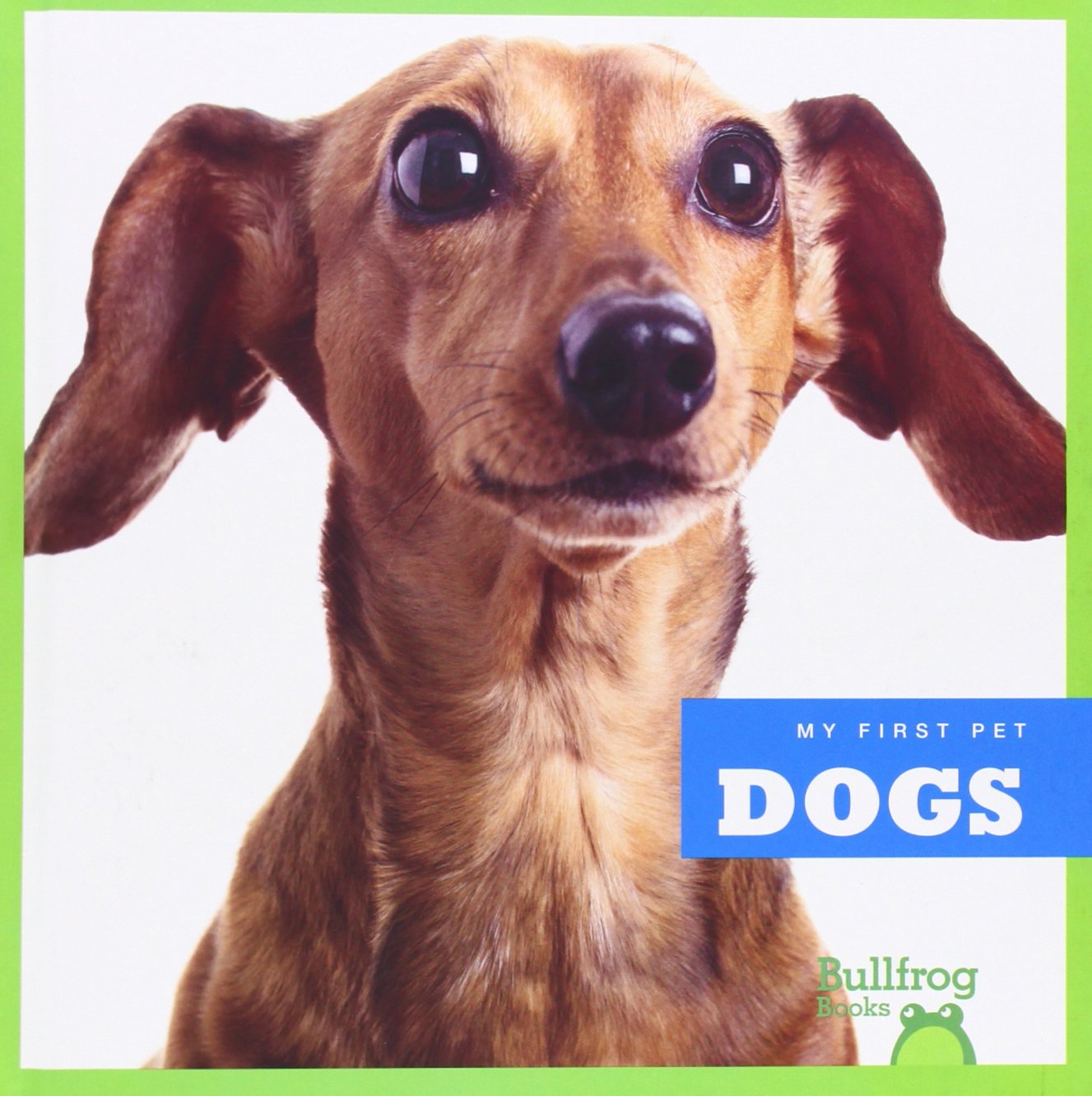 Dogs (Bullfrog Books: My First Pet),Used
