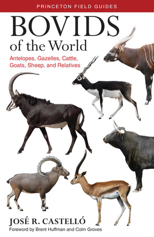Bovids of the World: Antelopes, Gazelles, Cattle, Goats, Sheep, and Relatives (Princeton Field Guides, 104),Used
