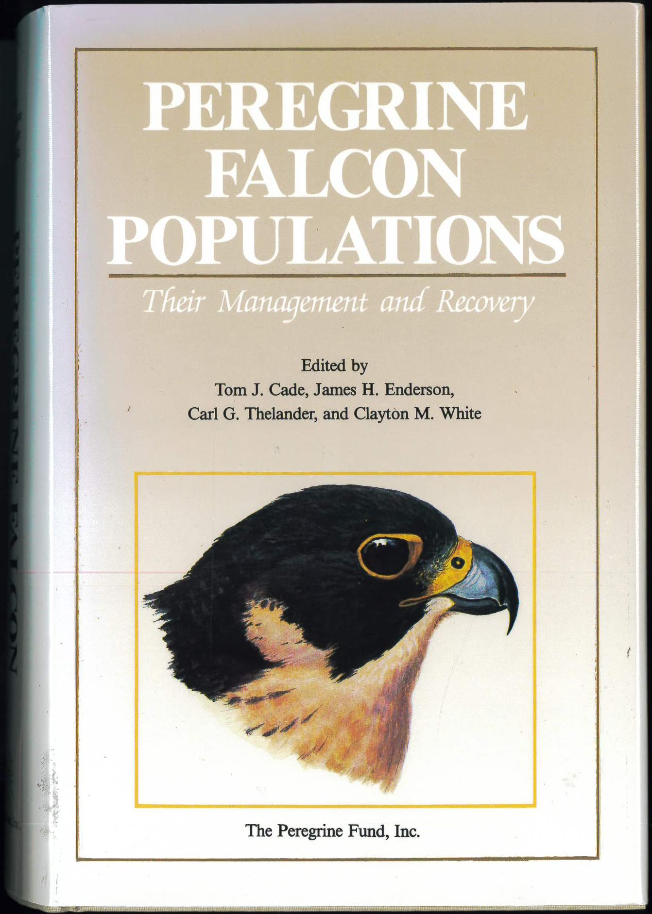 Peregrine Falcon Populations: Their Management And Recovery,Used