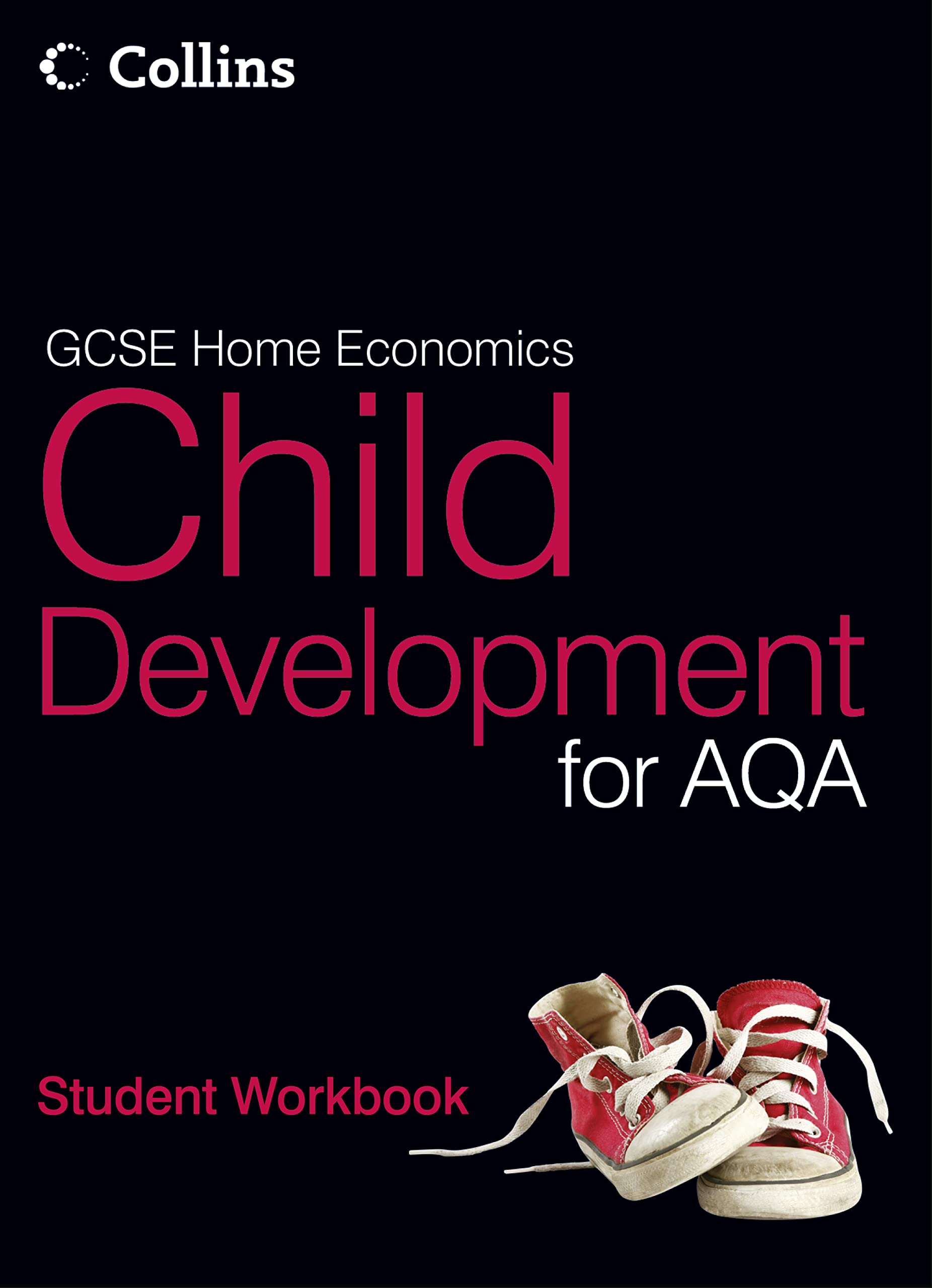 Student Workbook (Gcse Child Development for Aqa),Used