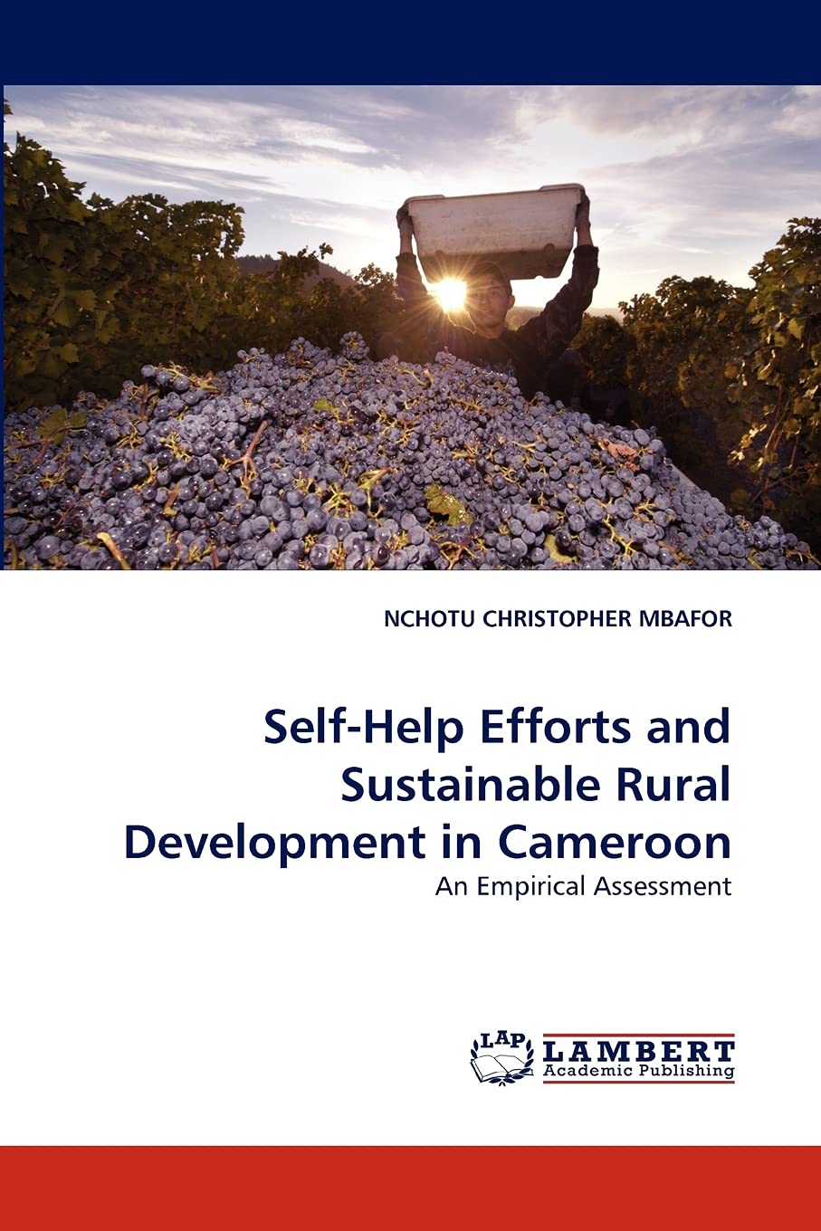 SelfHelp Efforts and Sustainable Rural Development in Cameroon: An Empirical Assessment,Used