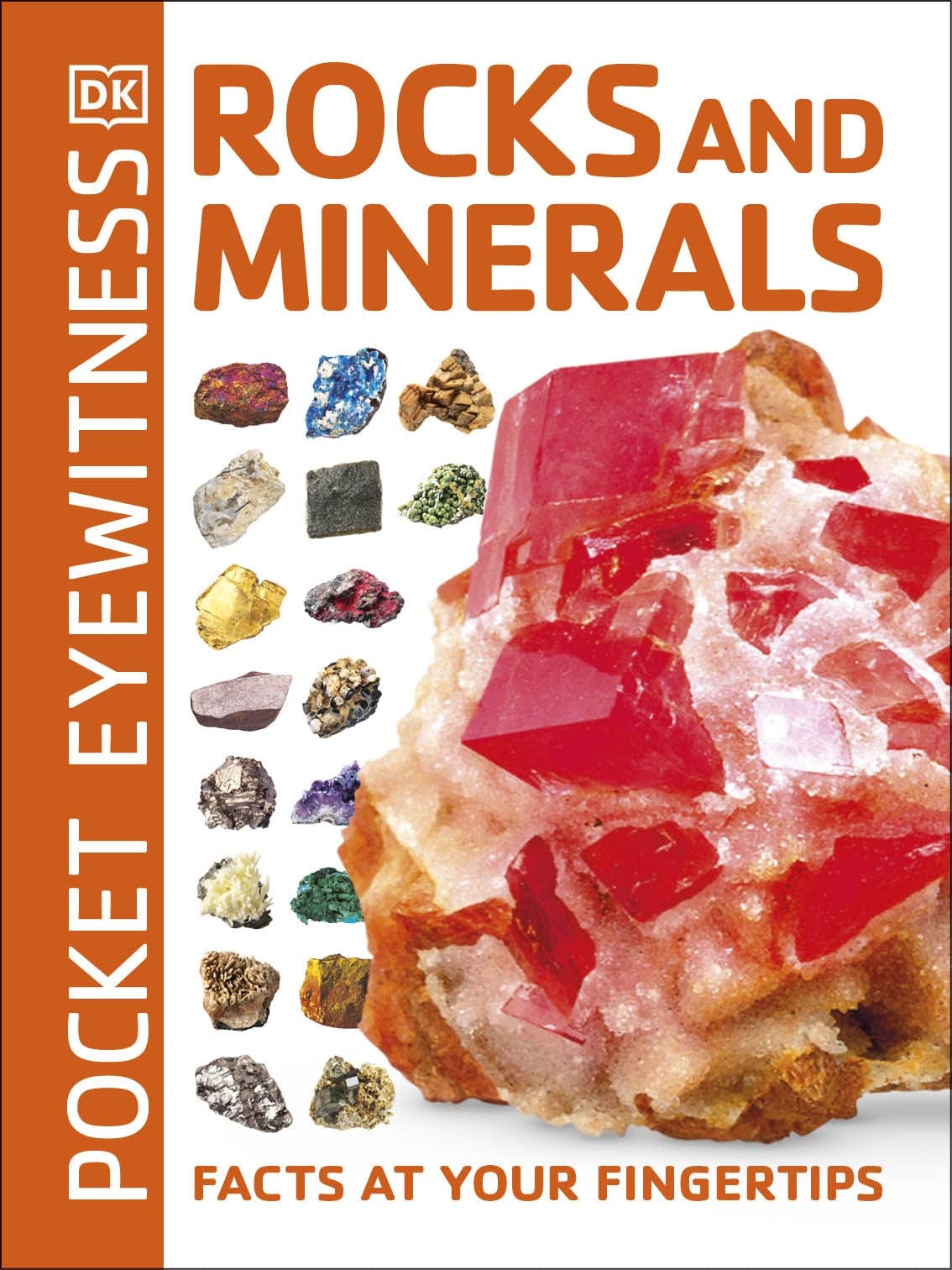 Pocket Eyewitness Rocks & Minerals,Used
