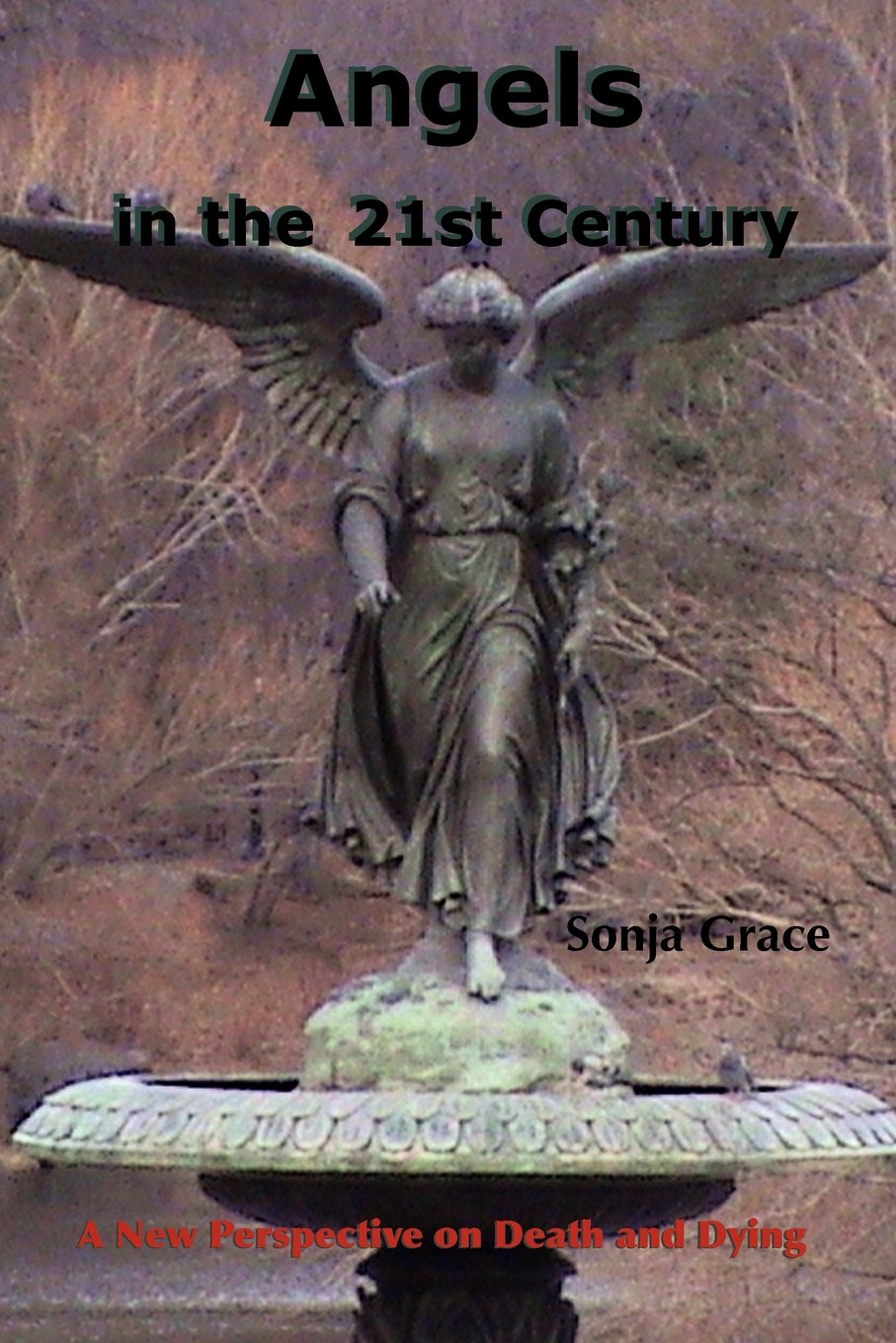 Angels in the 21st Century,Used