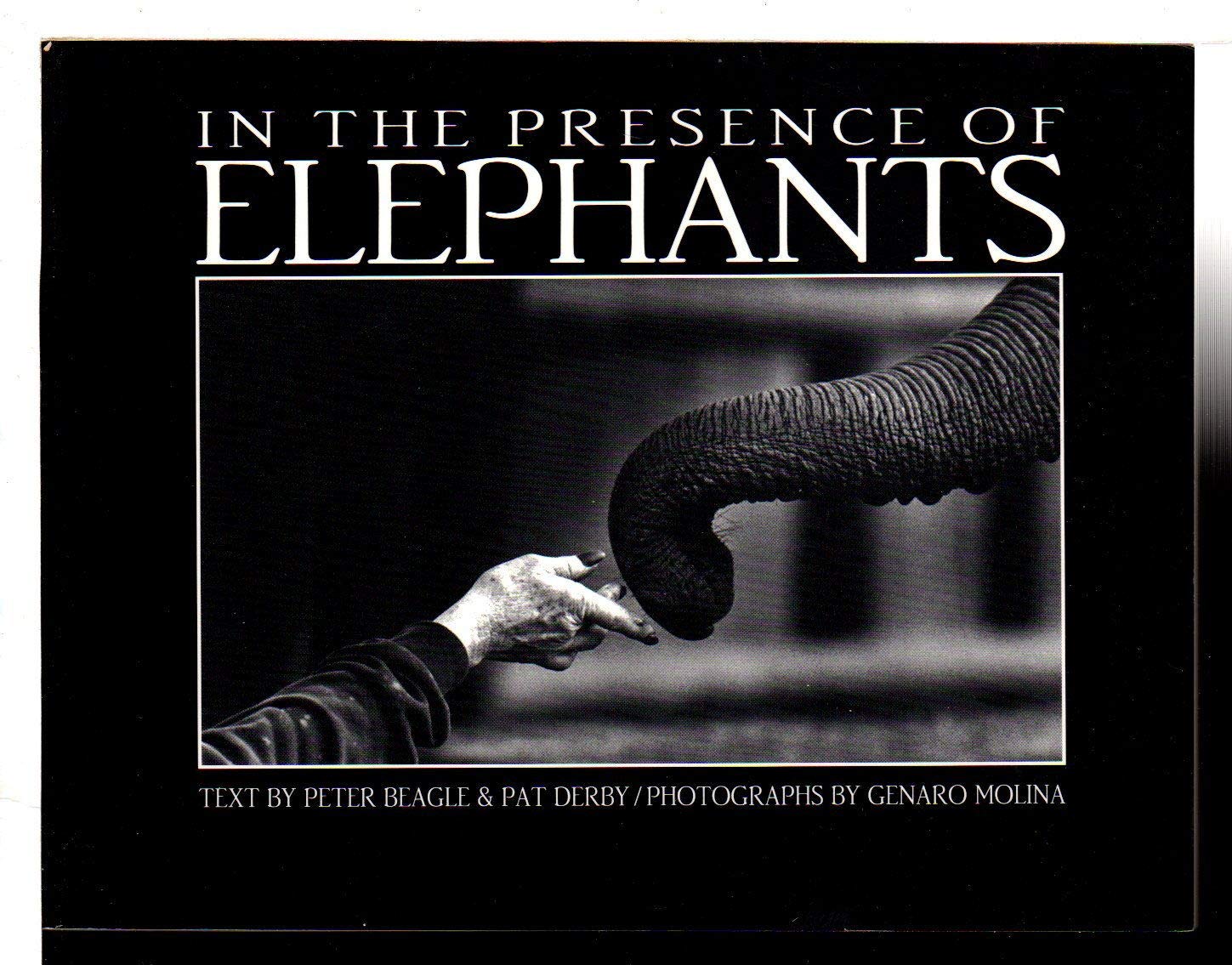 In the Presence of Elephants,Used