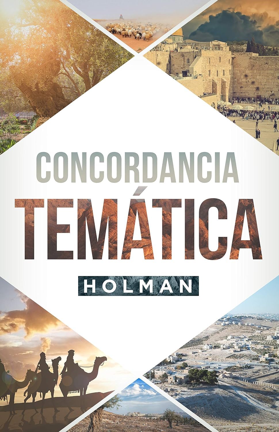 Concordancia Tem?tica Holman  Holman Concise Topical Concordance (Spanish Edition),New
