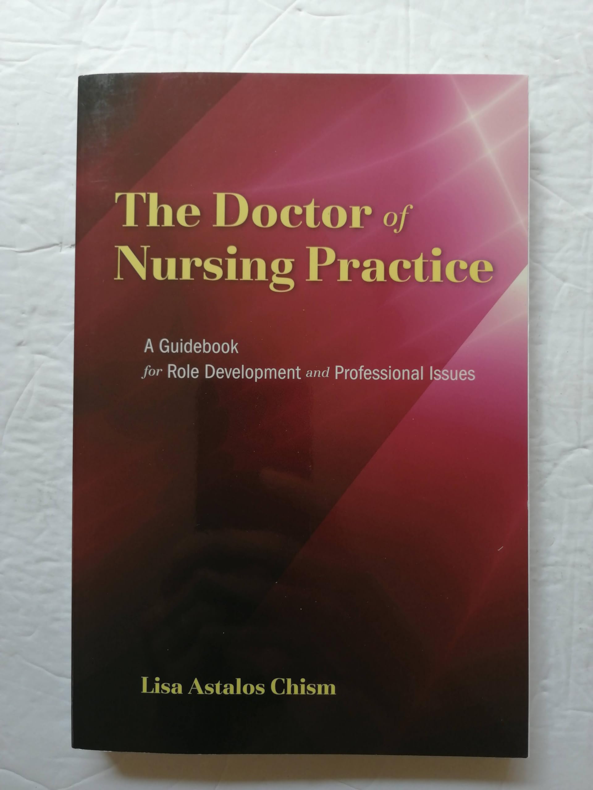 The Doctor of Nursing Practice: A Guidebook for Role Development and Professional Issues,Used