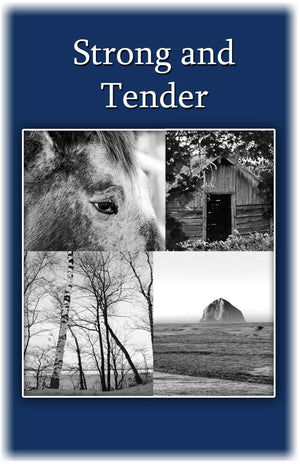 Strong and Tender: A Guide For The Father Whose Baby Has Died,Used