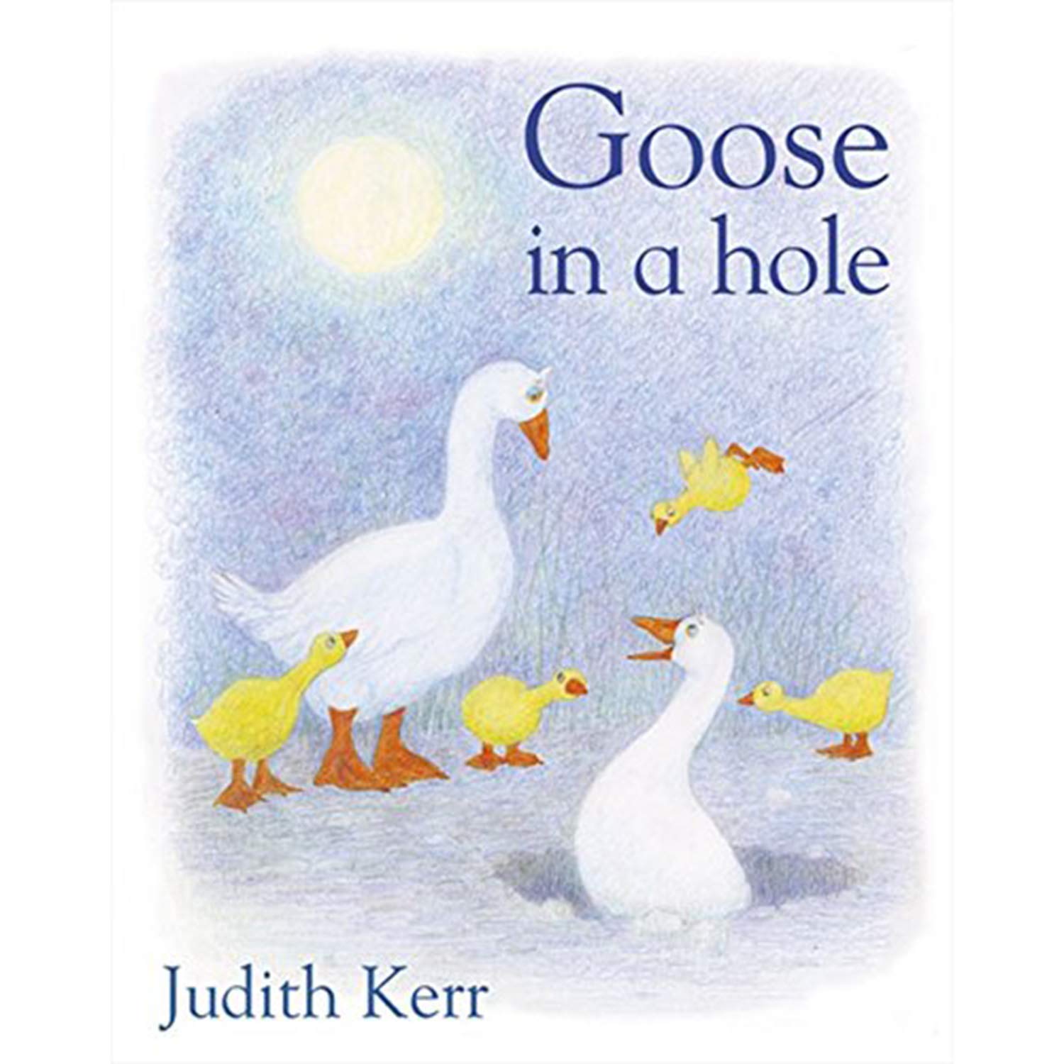 Goose in a Hole,Used