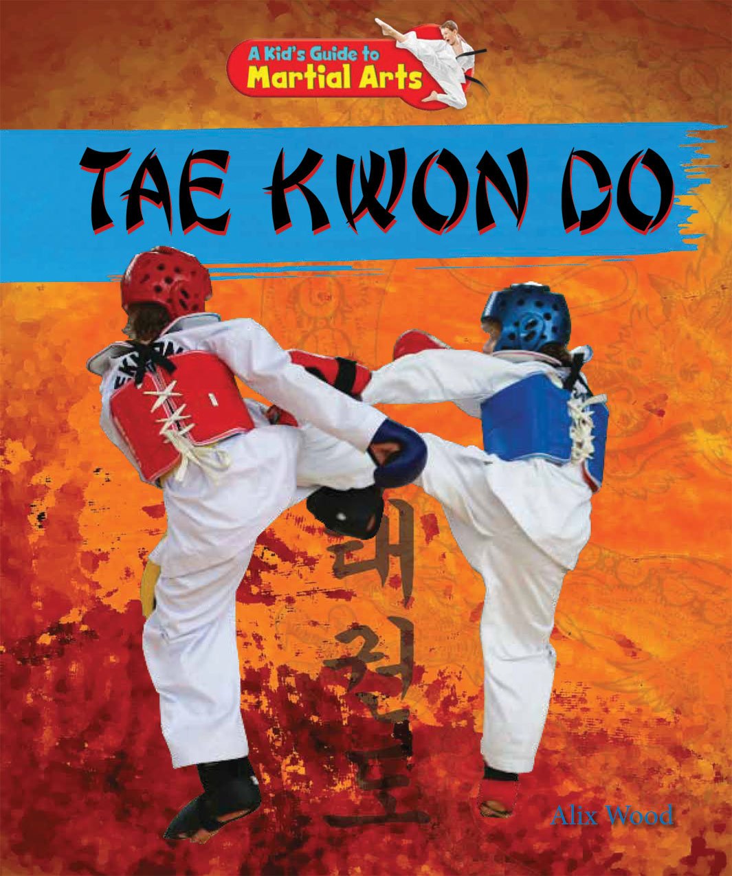 Tae Kwon Do (A Kid's Guide to Martial Arts),Used