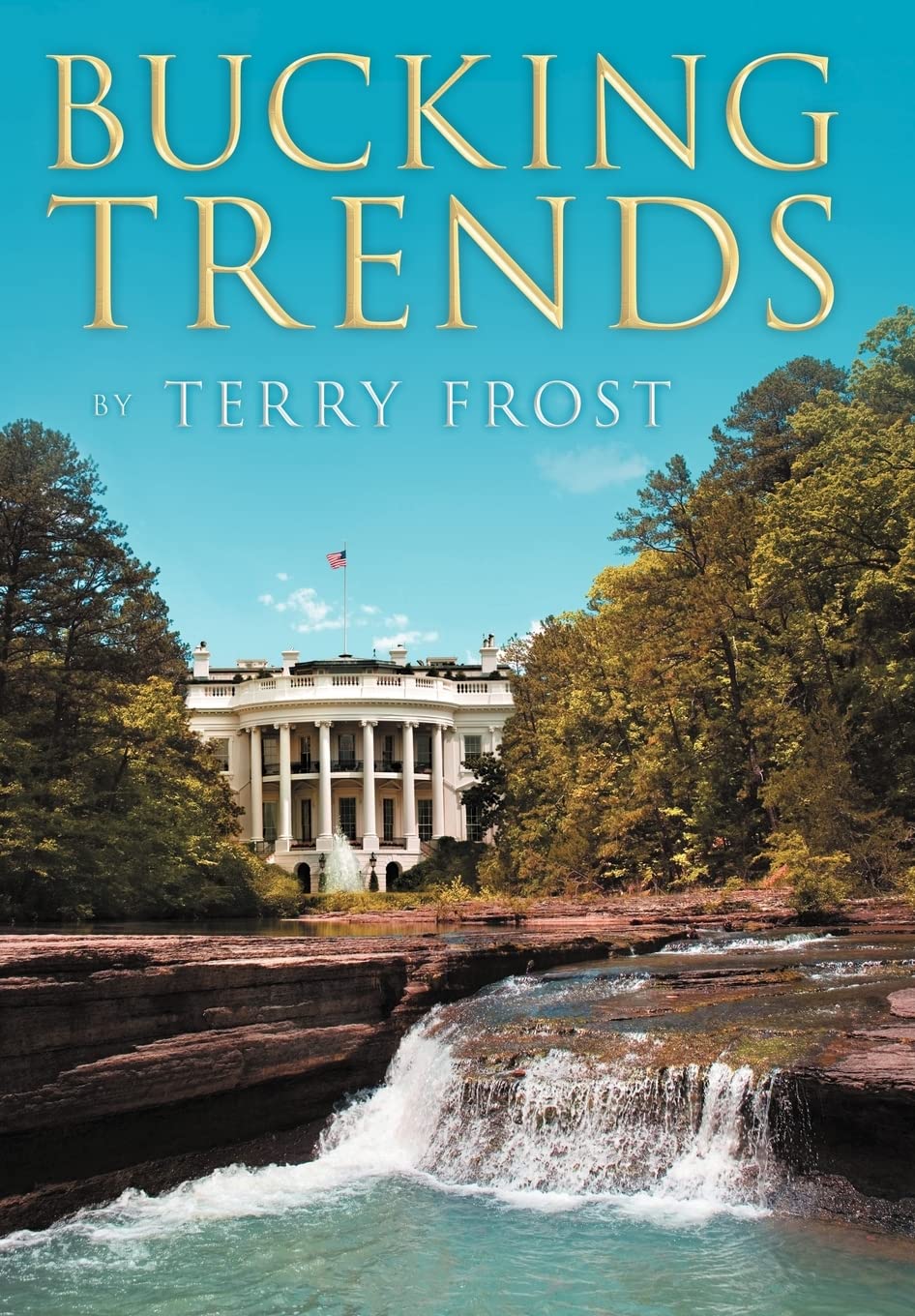Bucking Trends,Used
