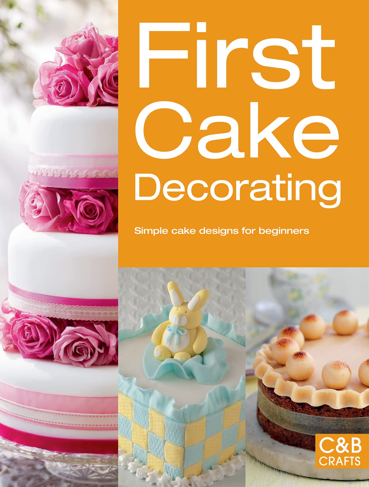 First Cake Decorating: Simple Cake Designs for Beginners (First Crafts),Used