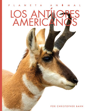 LOS ANTILOPES AMERICANOS