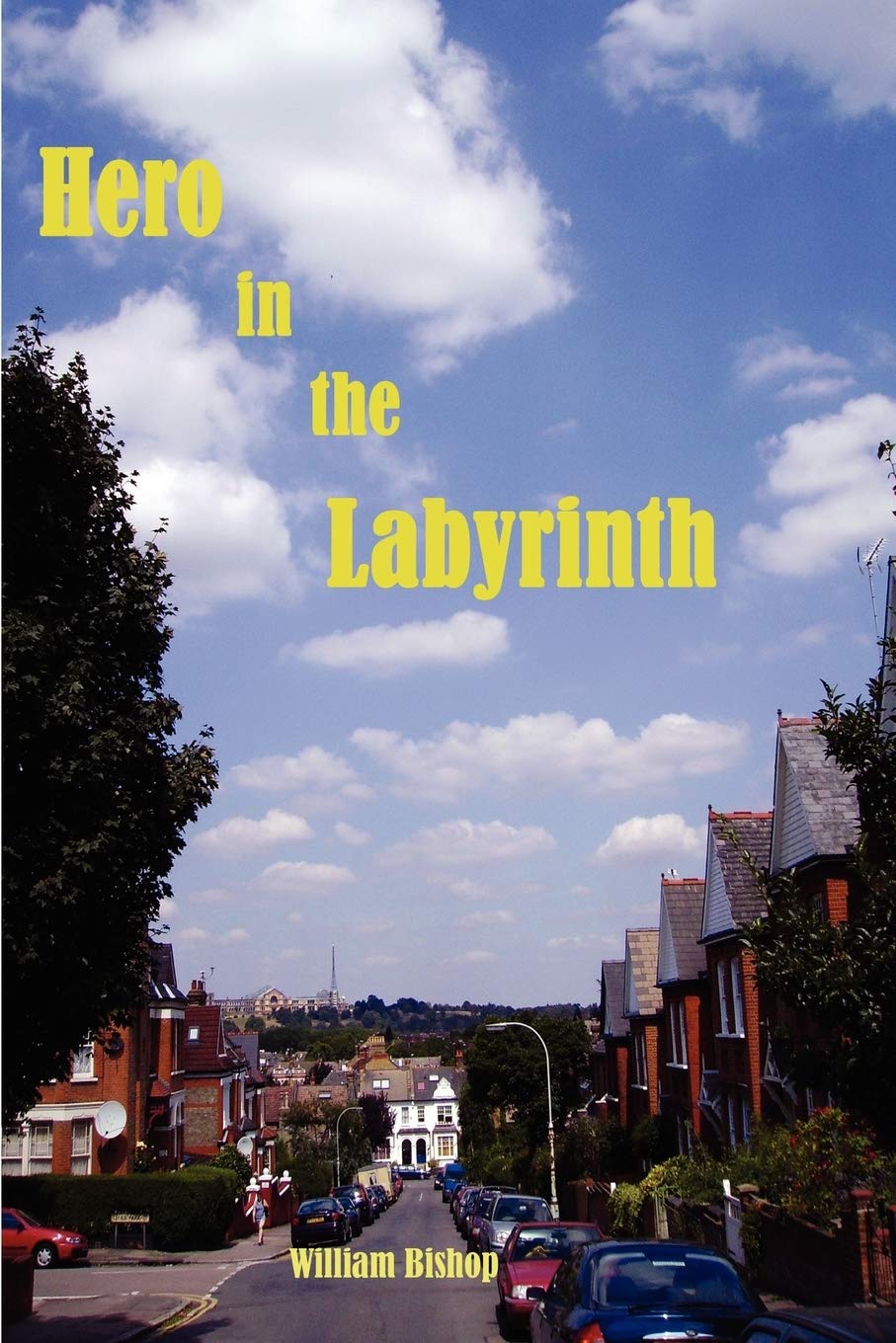 Hero In The Labyrinth,Used