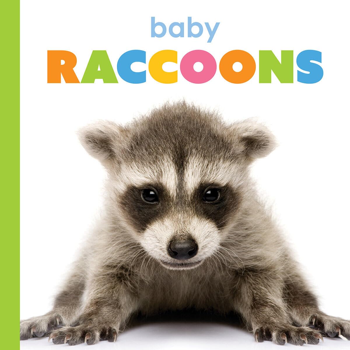 Baby Raccoons (Starting Out)