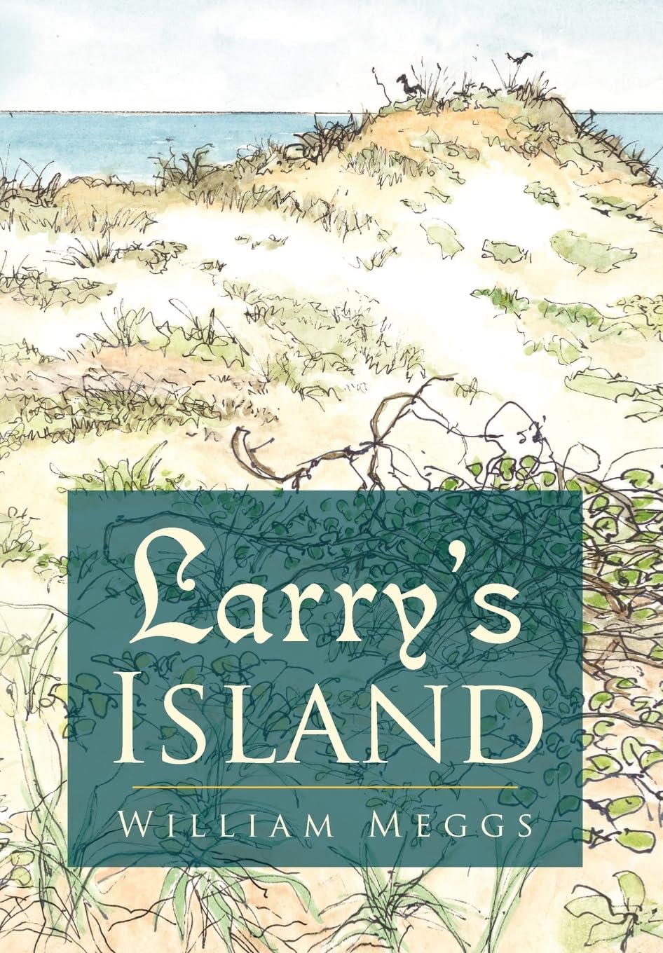 Larry's Island,Used