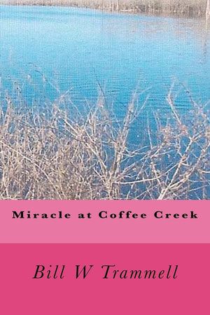Miracle At Coffee Creek,Used