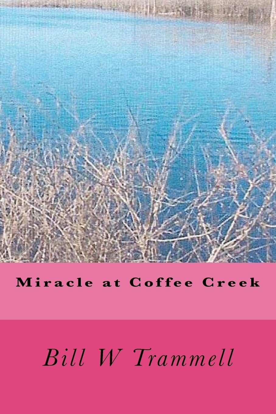 Miracle At Coffee Creek,Used
