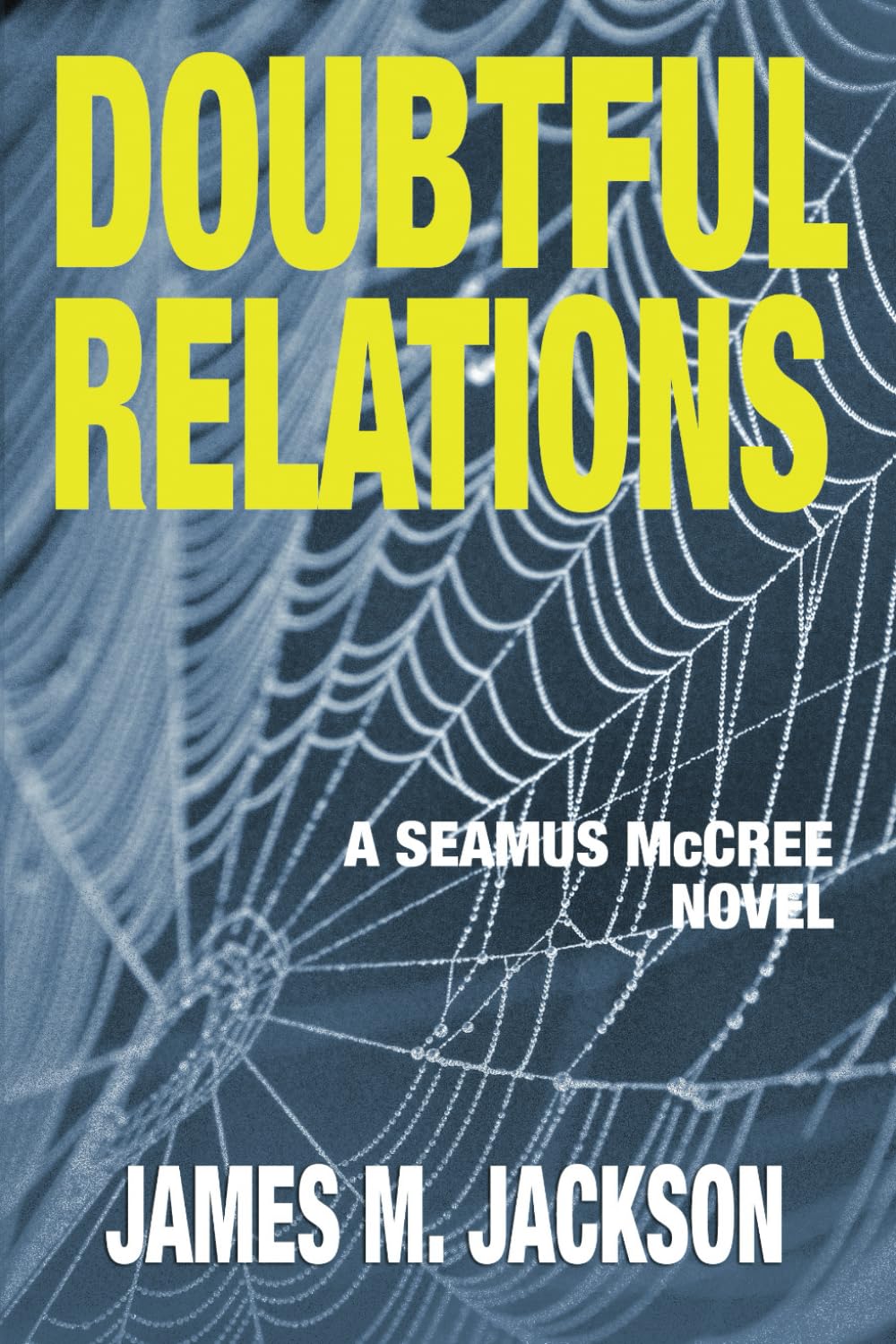 Doubtful Relations (Seamus McCree),Used