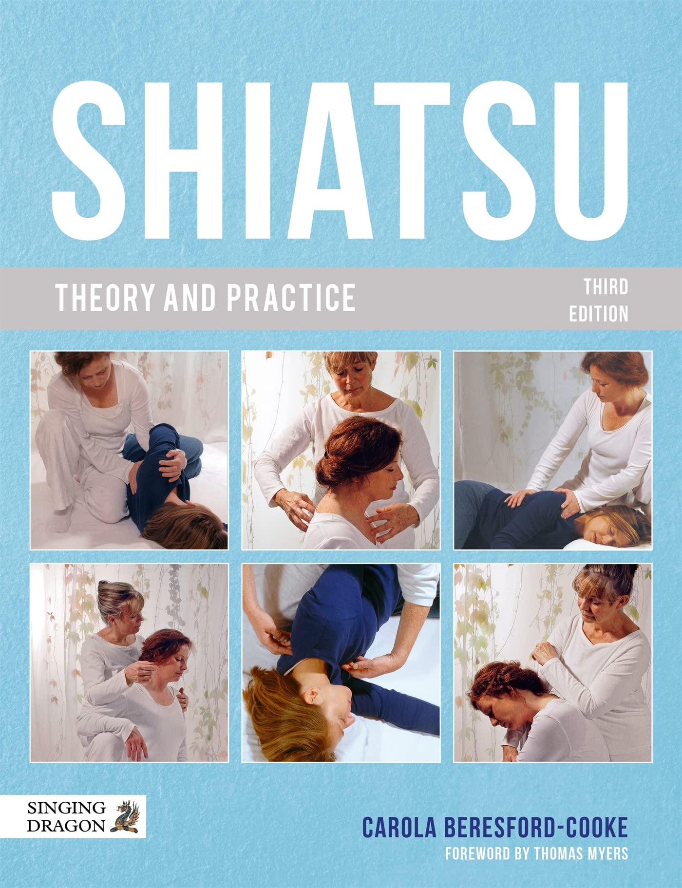 Shiatsu Theory And Practice