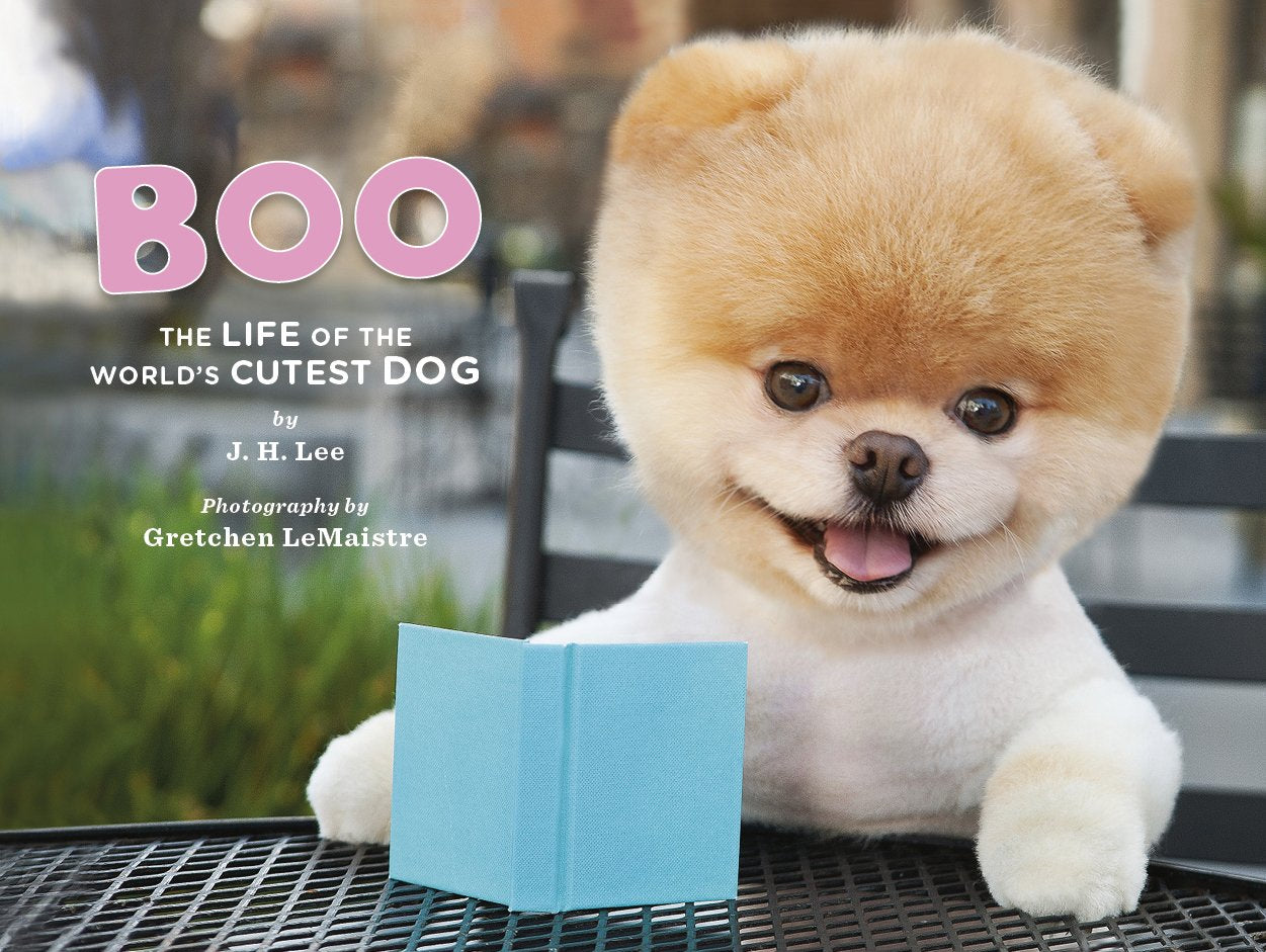 Boo: The Life of the World's Cutest Dog (Halloween Books for Kids, Halloween Books for Toddlers, Cute Halloween Stories),Used