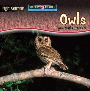Owls Are Night Animals,Used