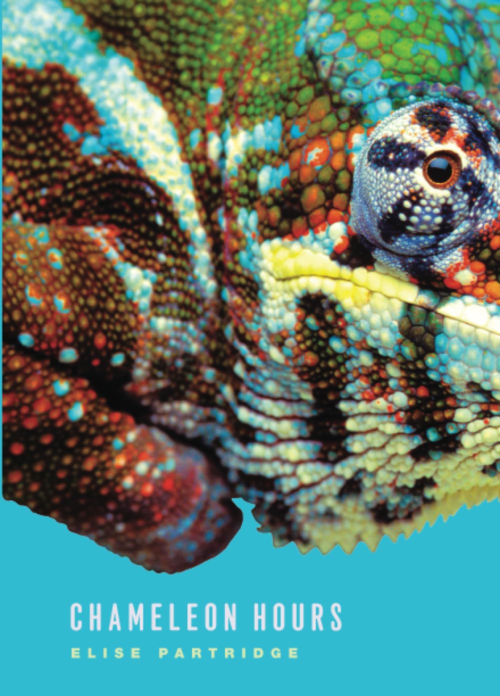 Chameleon Hours (Phoenix Poets),Used