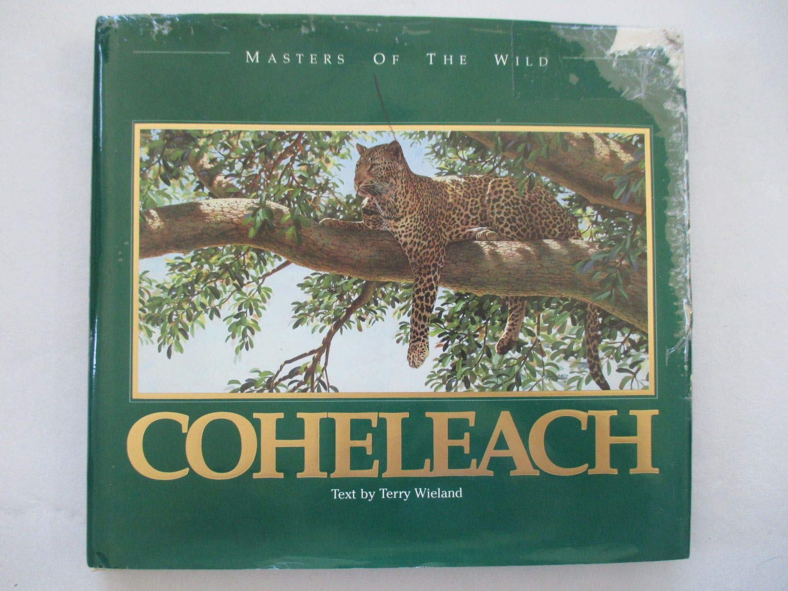 Guy Coheleach (Masters of the Wild),Used