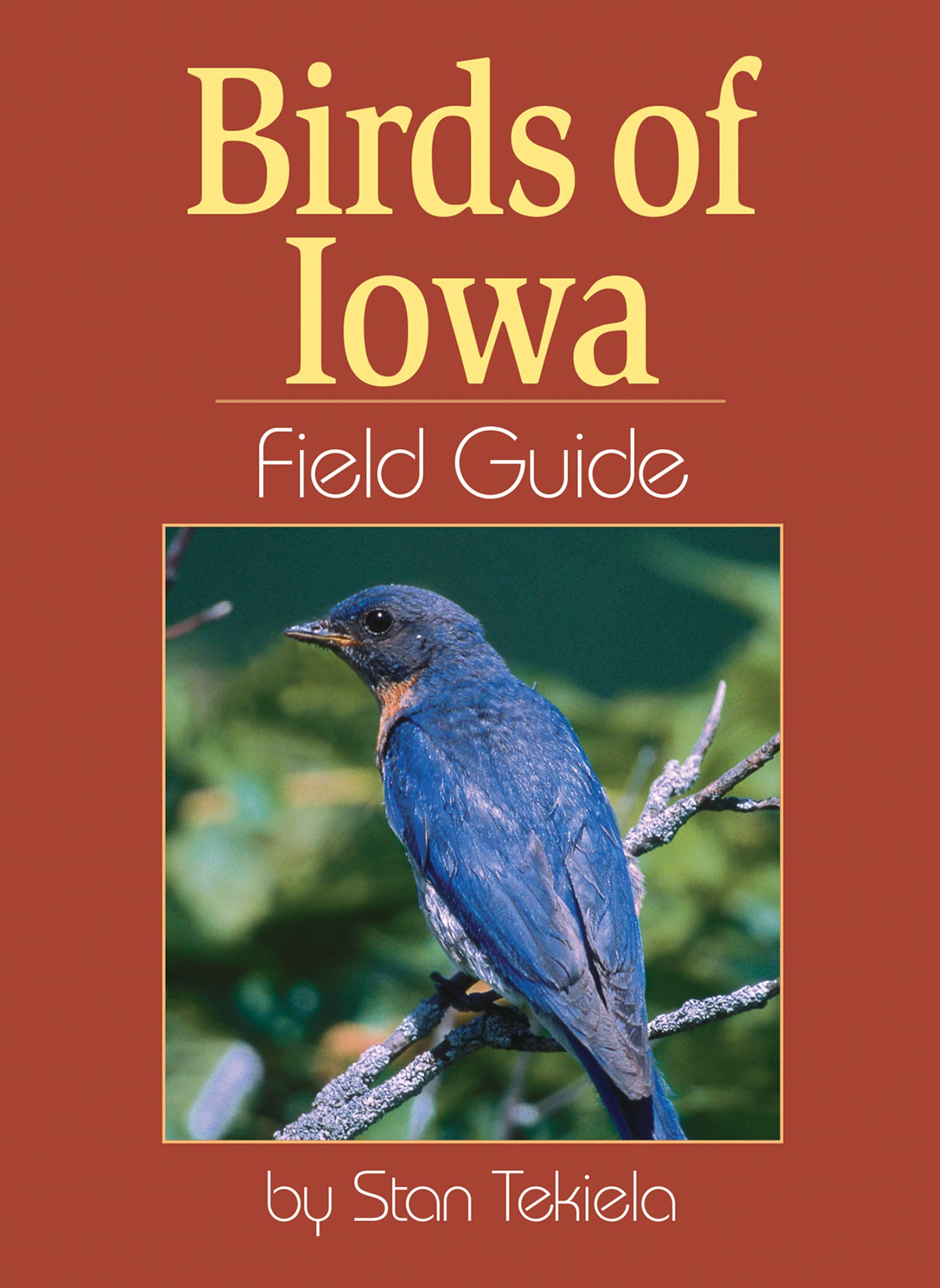 Birds of Iowa Field Guide (Bird Identification Guides),Used