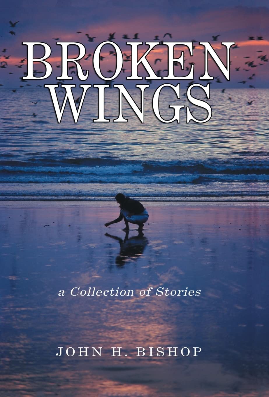 A Collection Of Stories,Used