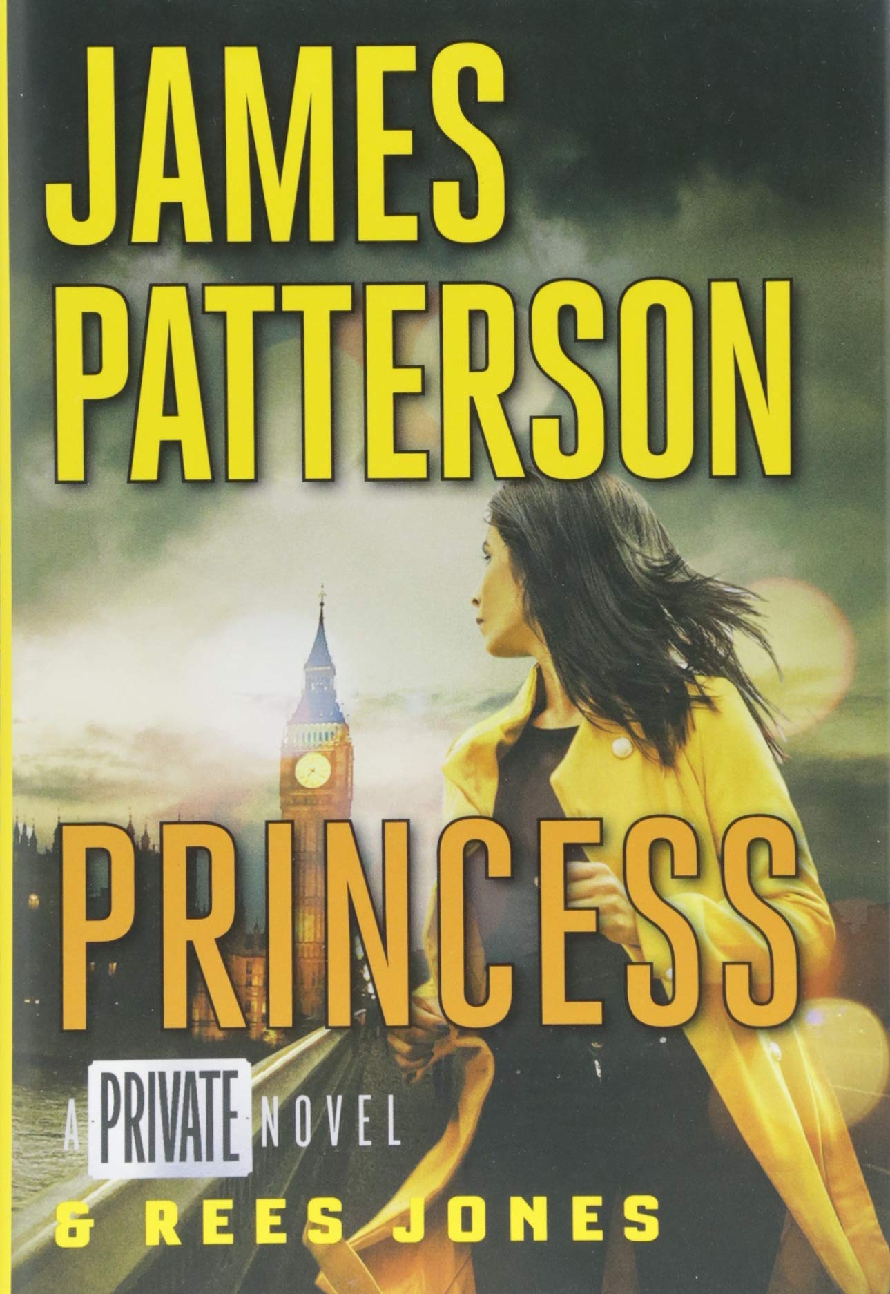 Princess: A Private Novel  Hardcover Library Edition (Private, 14)