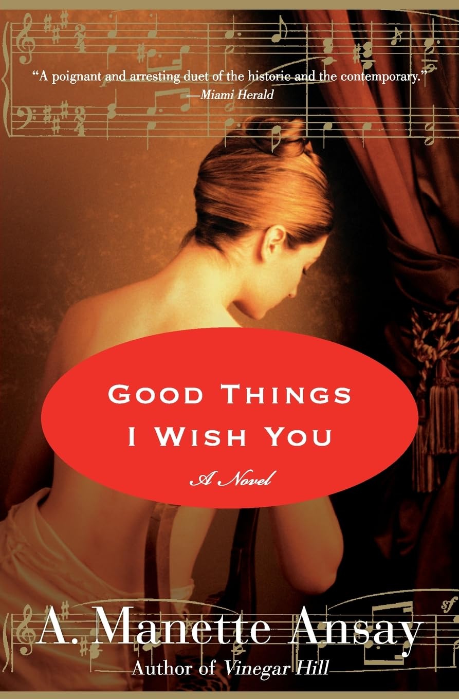Good Things I Wish You: A Novel-used
