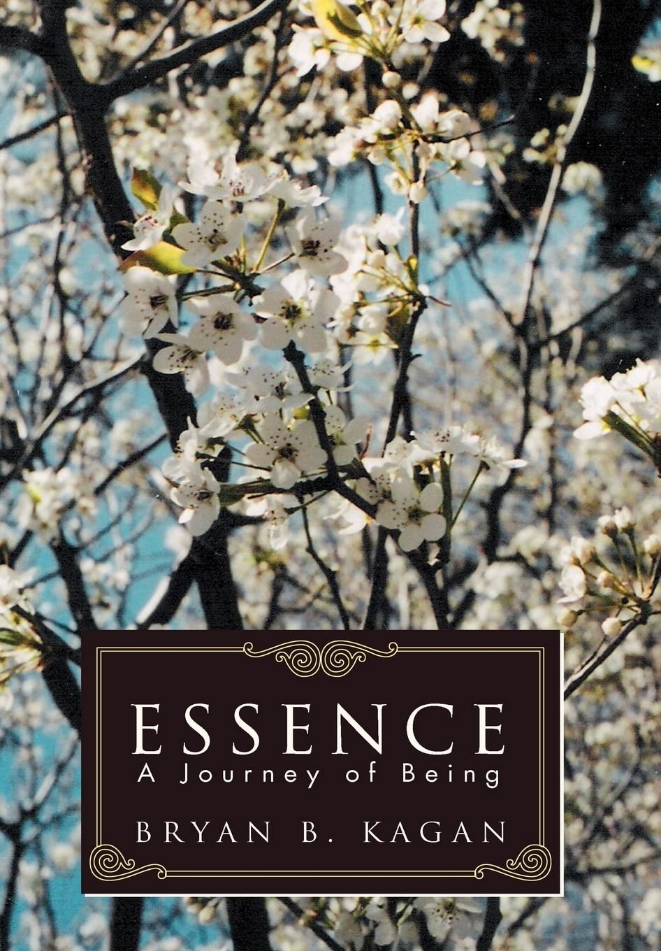 Essence,Used