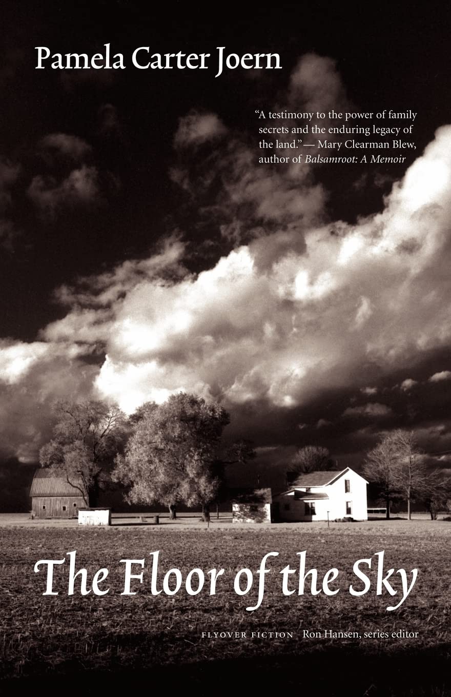 The Floor of the Sky (Flyover Fiction),Used