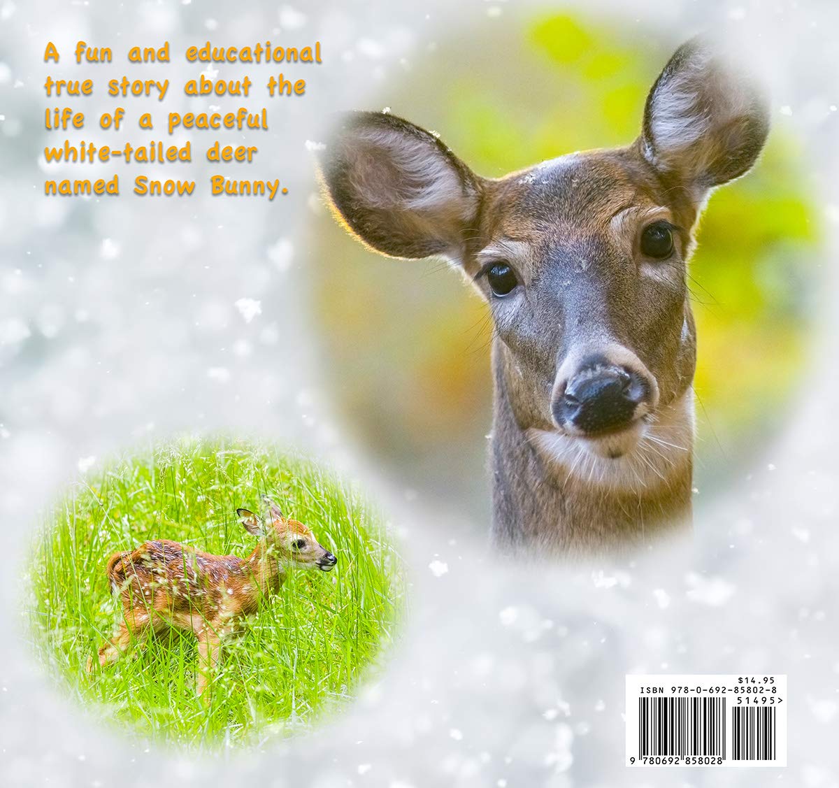 Snow Bunny the Deer Children's Book,Used