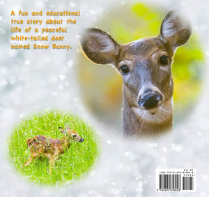 Snow Bunny the Deer Children's Book,Used