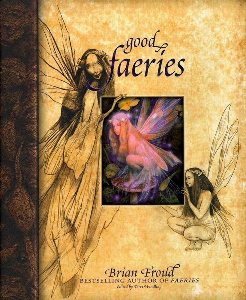 Good Faeries/Bad Faeries,Used