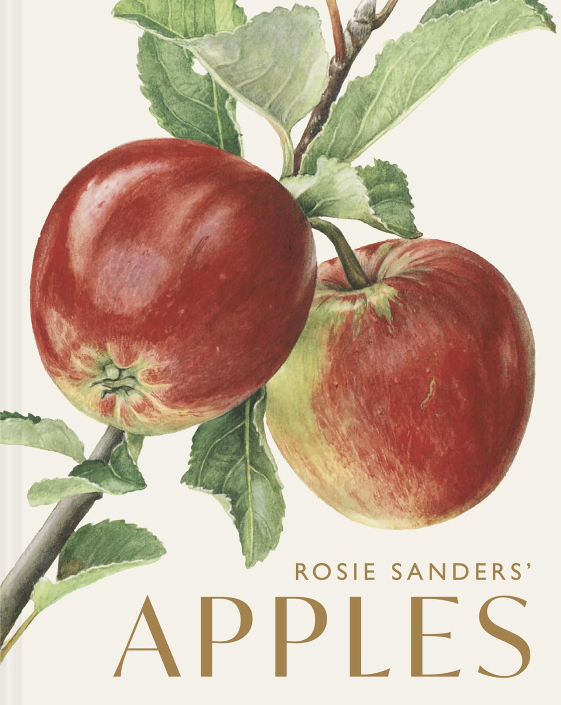Rosie Sanders Apples