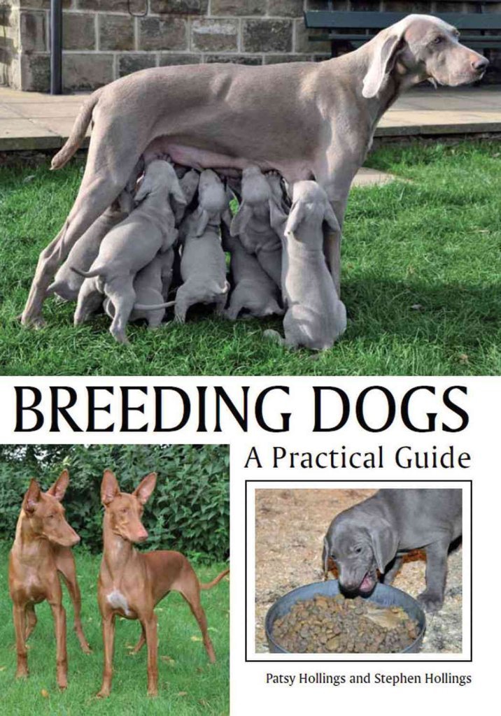 Breeding Dogs: A Practical Guide,Used