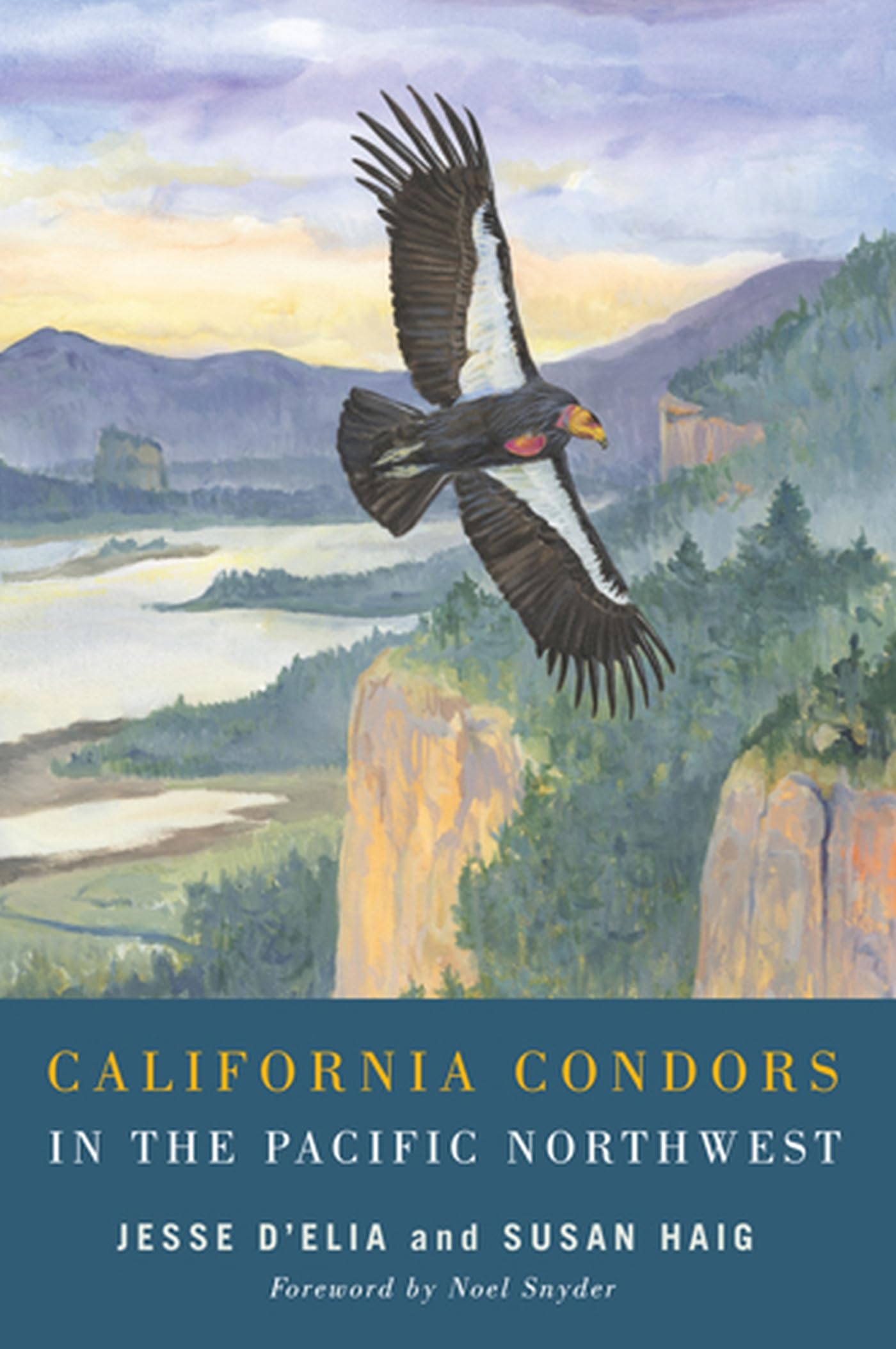 California Condors in the Pacific Northwest,Used