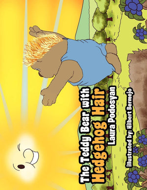 The Teddy Bear With Hedgehog Hair,Used