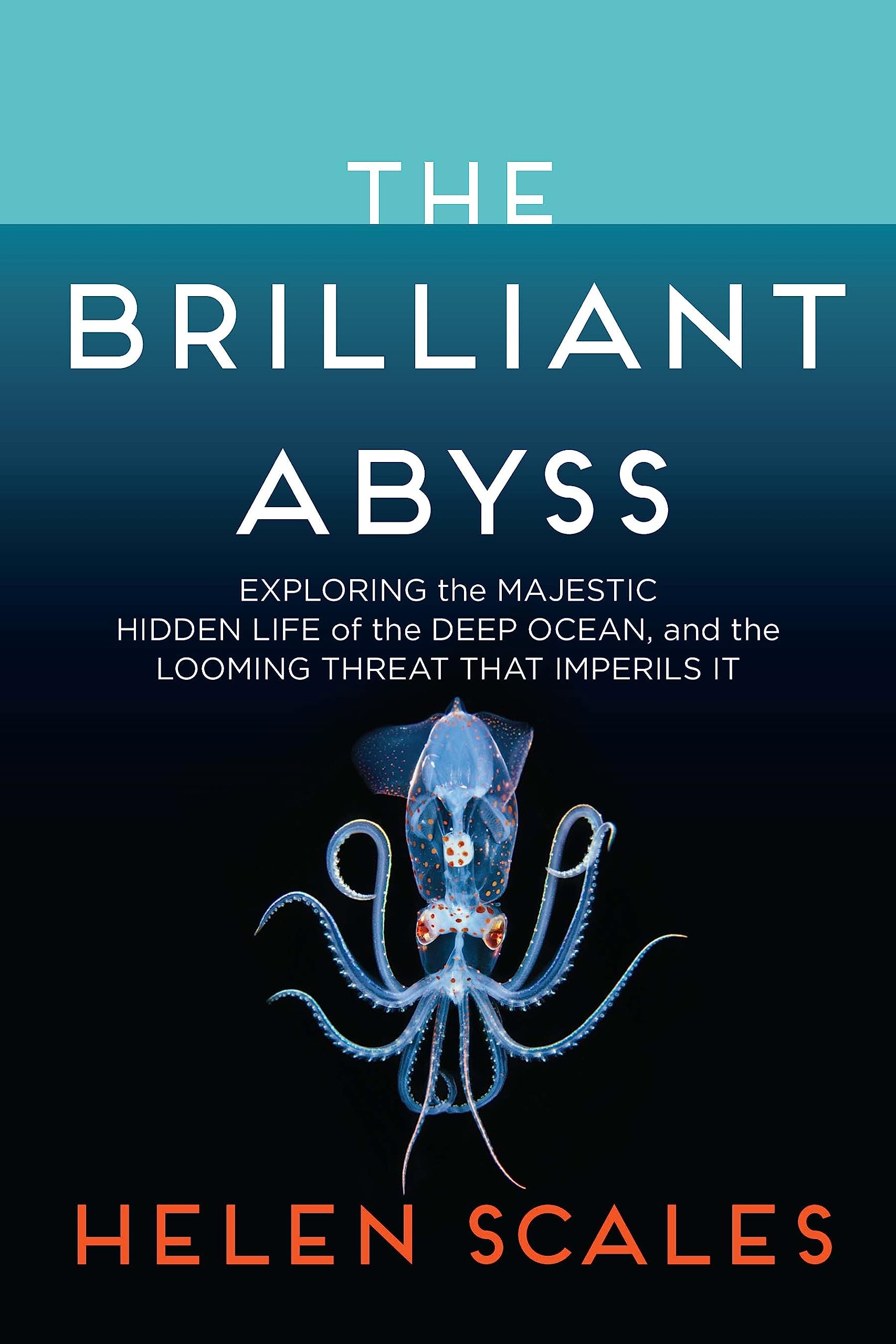 The Brilliant Abyss: Exploring The Majestic Hidden Life Of The Deep Ocean, And The Looming Threat That Imperils It,New