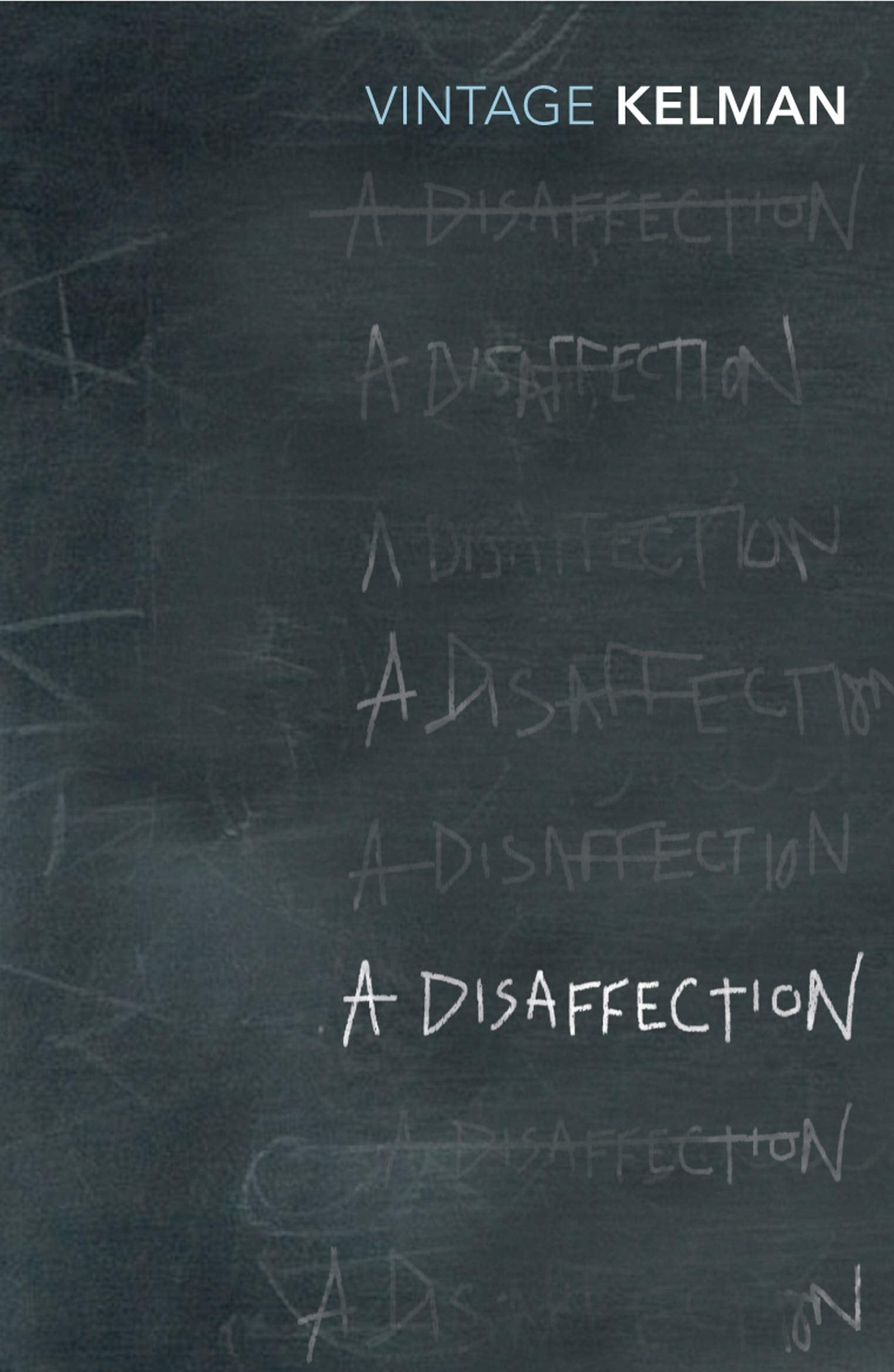A Disaffection (Vintage Classics),New