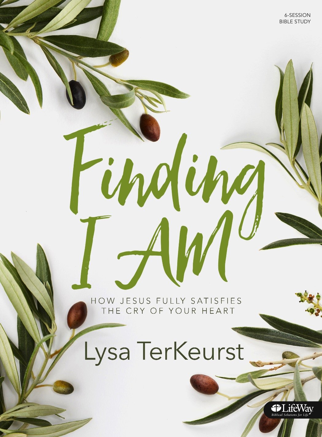 Finding I AM: How Jesus Fully Satisfies the Cry of Your Heart  Bible Study Book,Used