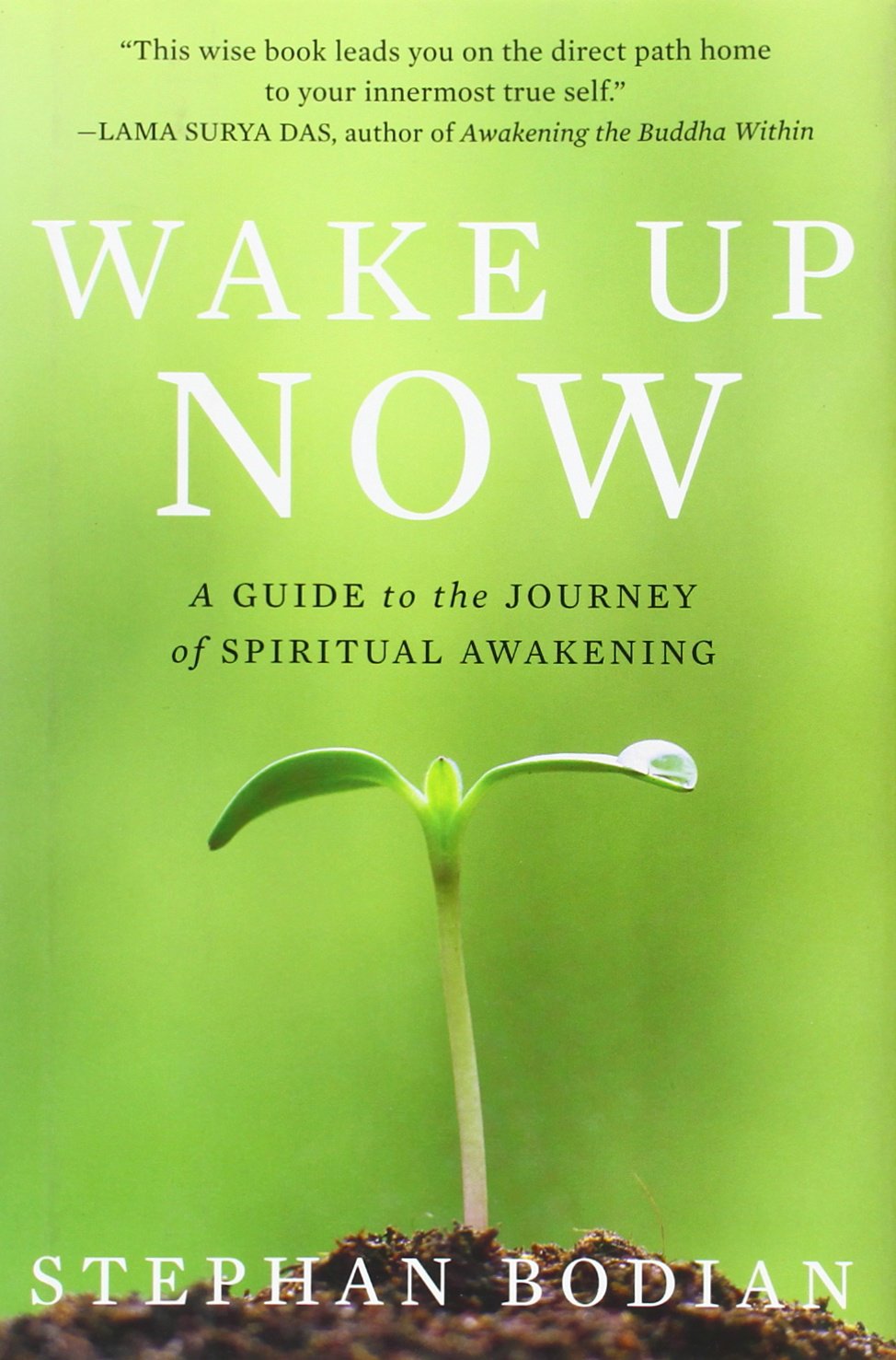 Wake Up Now: A Guide to the Journey of Spiritual Awakening,Used