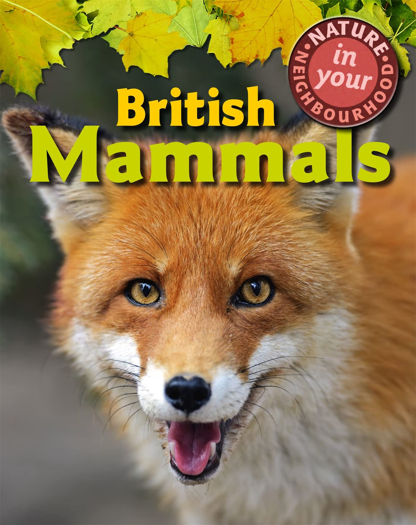Nature In Your Neighbourhood: British Mammals