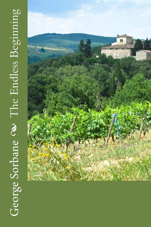 The Endless Beginning,Used