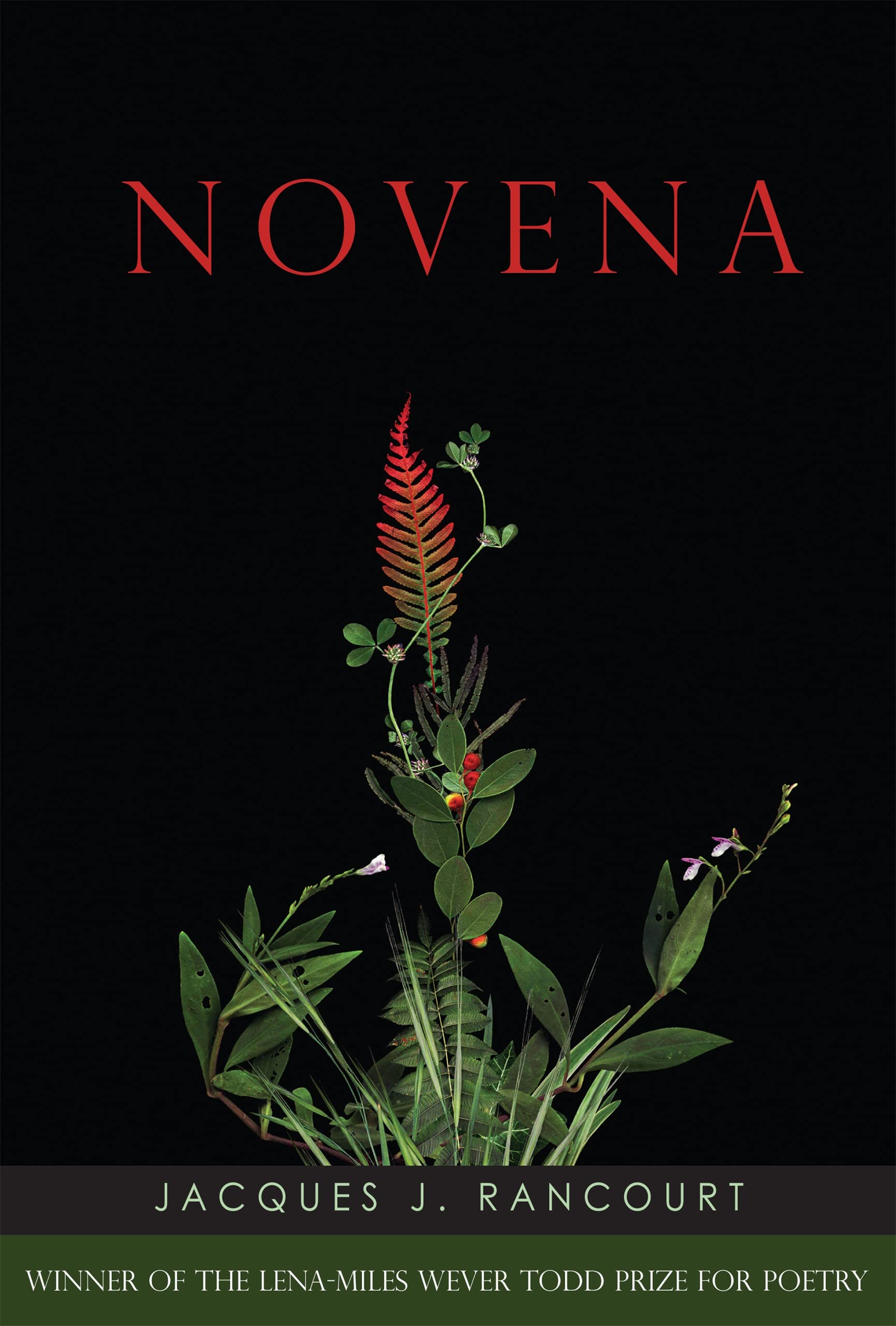Novena: Poems (Lenamiles Wever Todd Poetry Series Award),Used