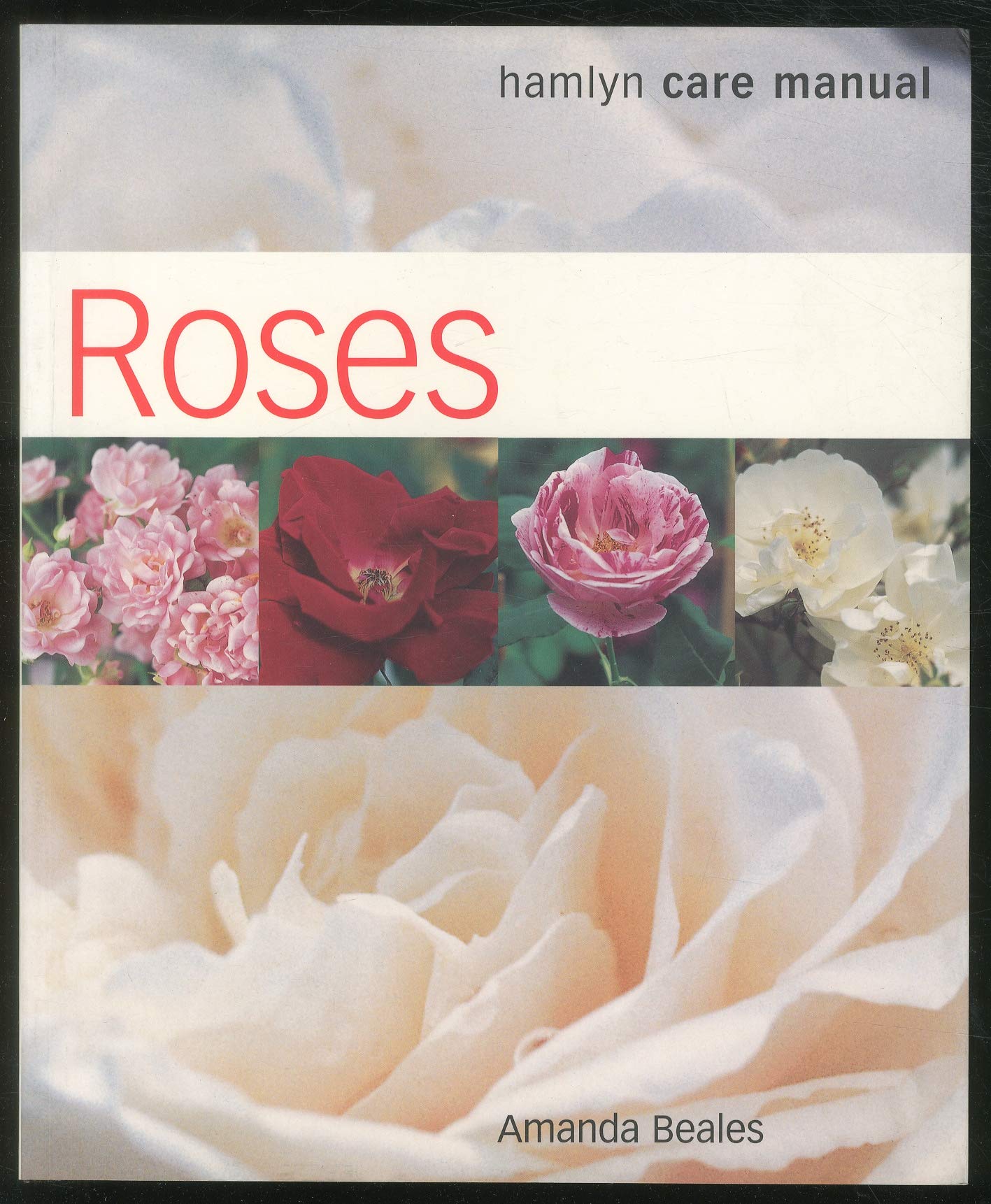 Roses: A Care Manual,Used