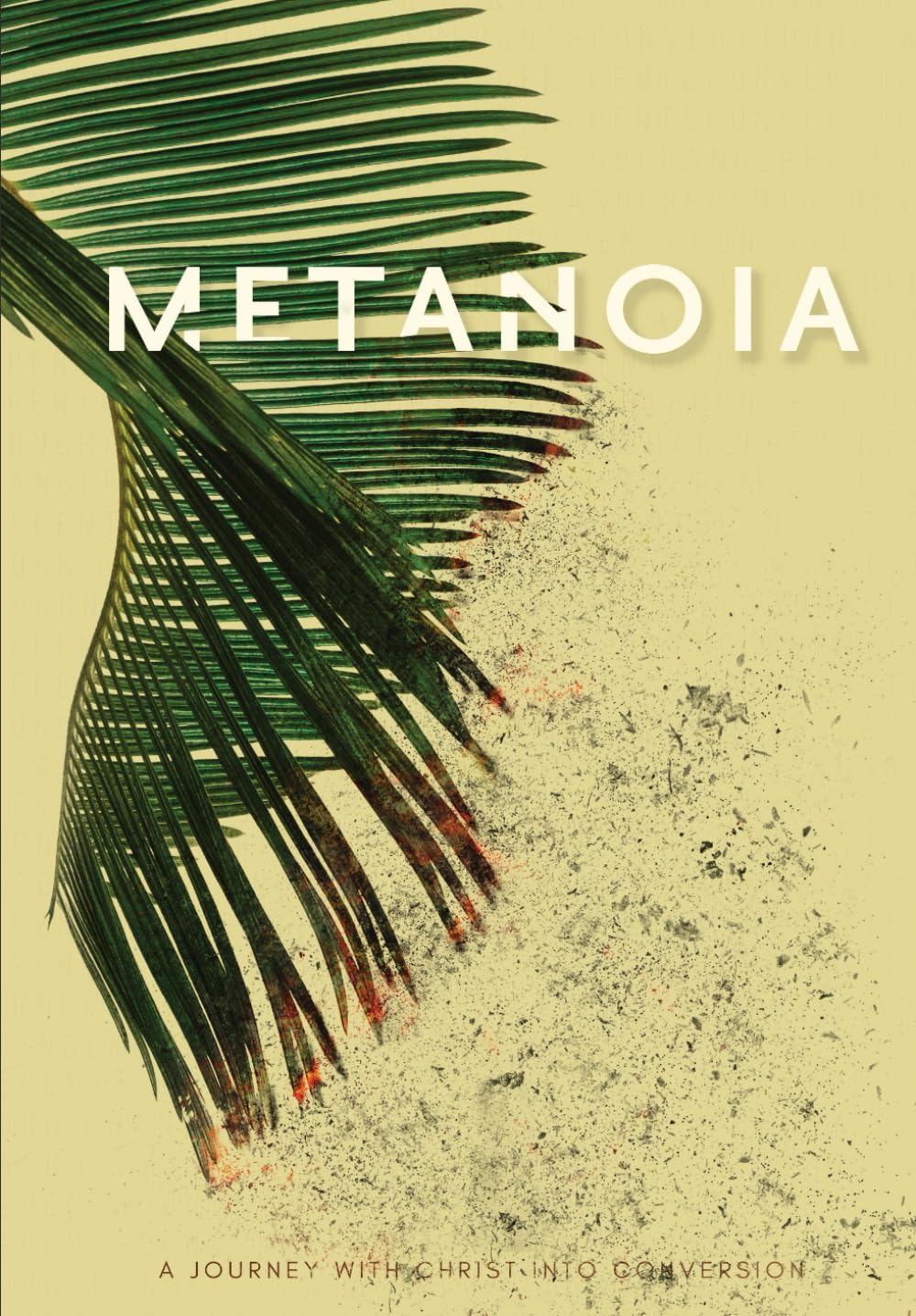 Metanoia: A Journey With Christ Into Conversion,Used